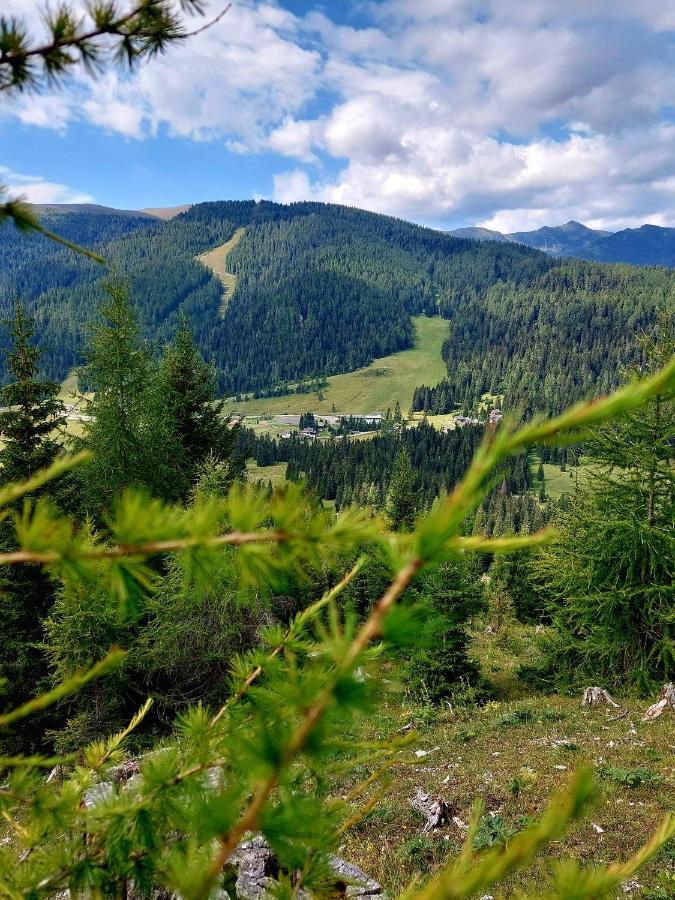 Almhaus Kaernten Flattnitz Eksteriør billede
